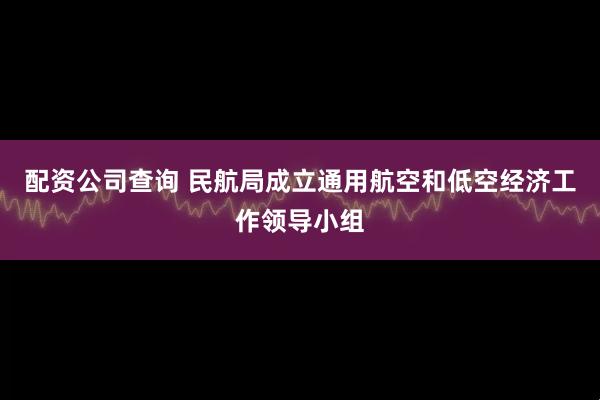 配资公司查询 民航局成立通用航空和低空经济工作领导小组